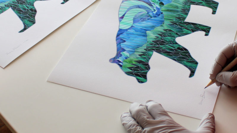 Ursus Borealis Prints