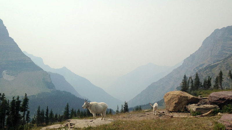 Going To The Sun Road Painting