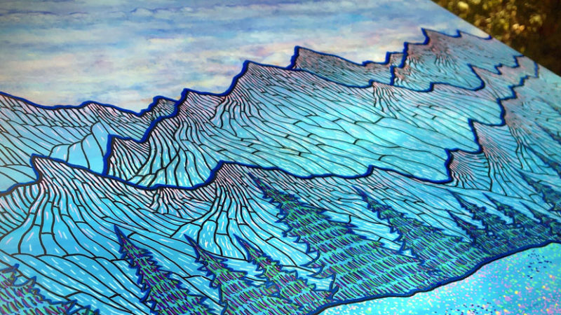 Aster Mountain Meadow