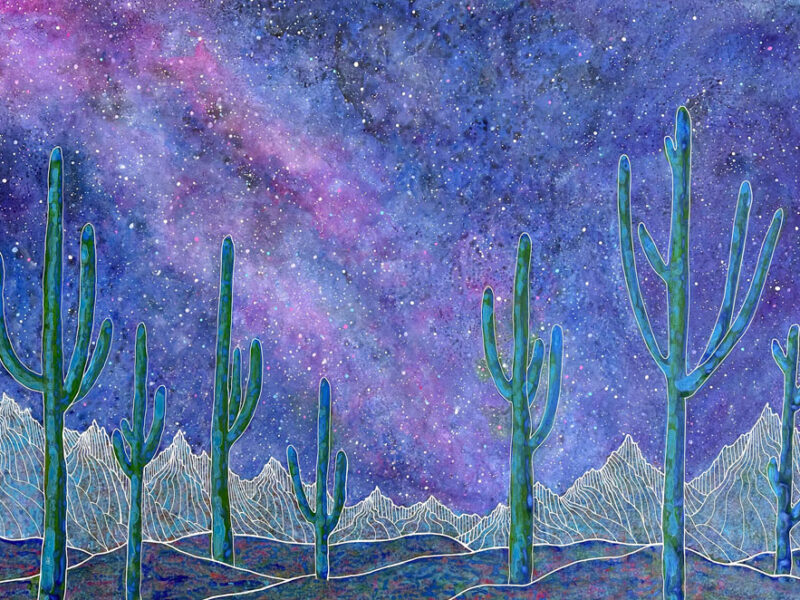 Saguaro Night