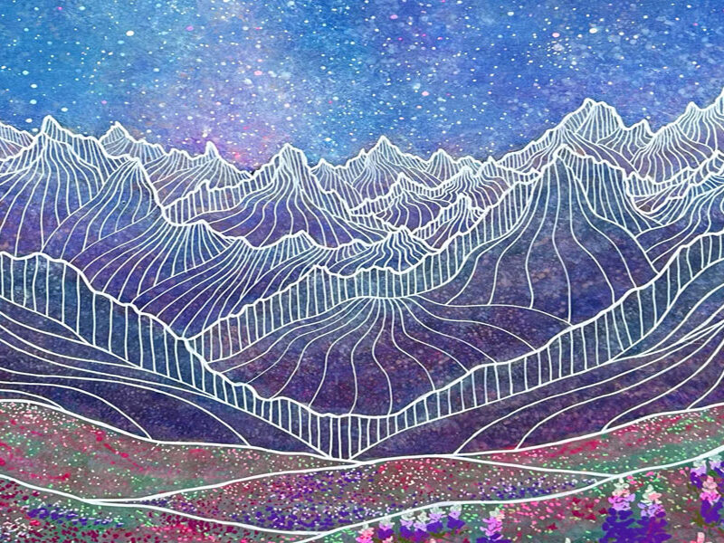 Mountain Wildflower Meadow Under the Stars III